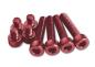 Preview: Aluminium screw set M5 red anodized