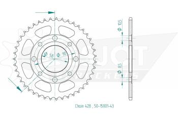 Kettenrad, 43 Zähne