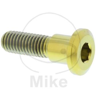 Bremsscheibenschraube, Pro Bolt, M8X1,25, 30 mm, Titan gold