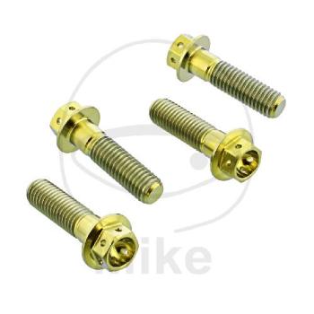 Bremssattelschrauben-Satz, Pro Bolt, Titan, Racing, gold