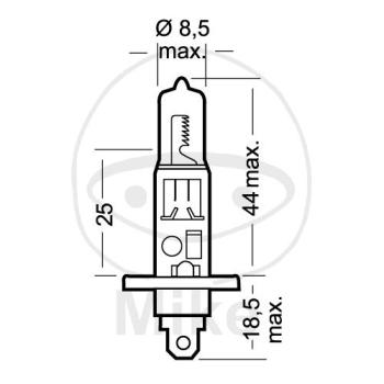 Glühlampe, H1 12V55W