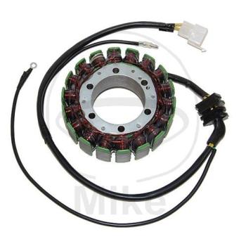 Lichtmaschine/Stator