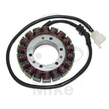 Lichtmaschine/Stator