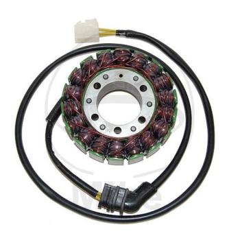 Lichtmaschine/Stator