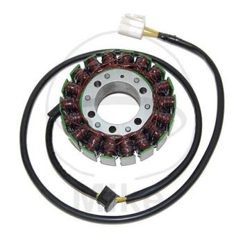 Lichtmaschine/Stator