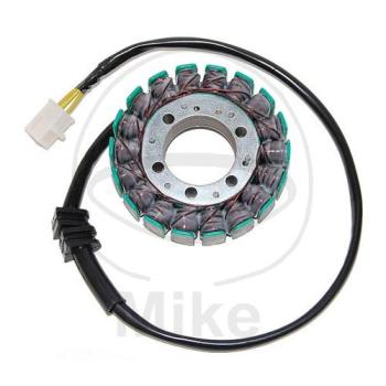 Lichtmaschine/Stator