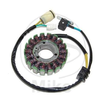 Lichtmaschine/Stator