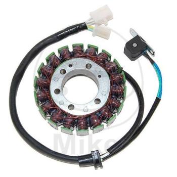 Lichtmaschine/Stator