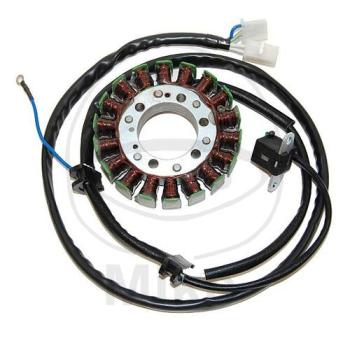 Lichtmaschine/Stator