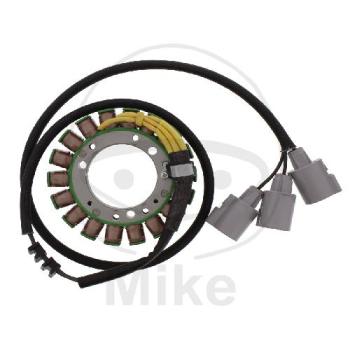 Lichtmaschine/Stator, Tourmax