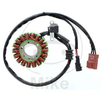 Lichtmaschine/Stator