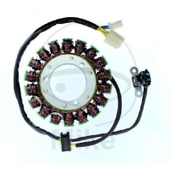 Lichtmaschine/Stator