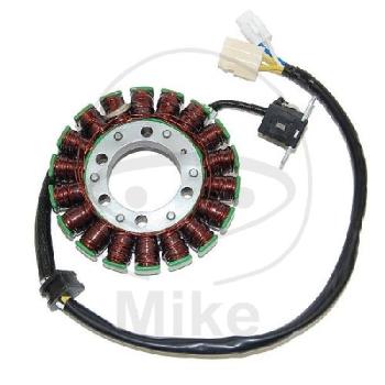 Lichtmaschine/Stator