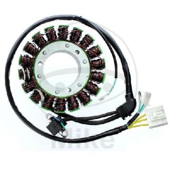 Lichtmaschine/Stator