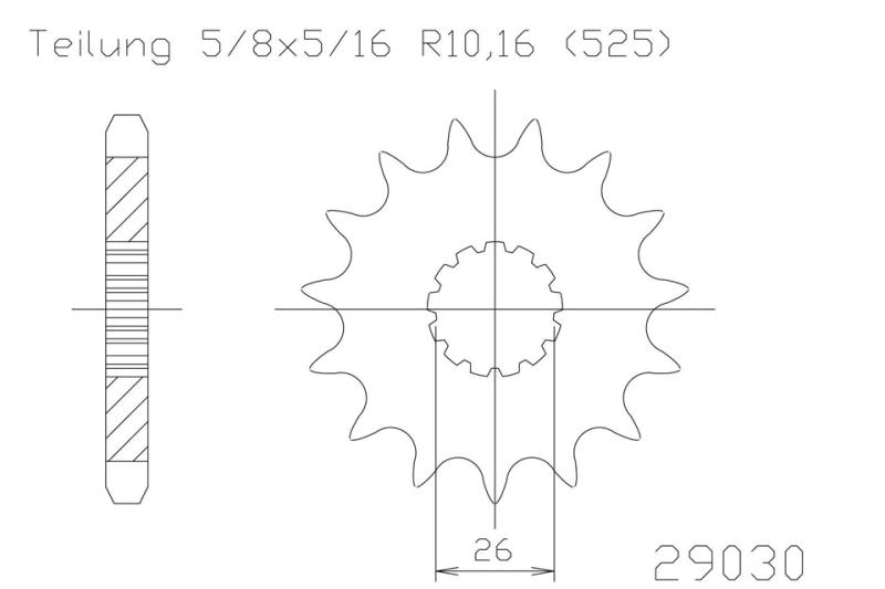 Kettenritzel, 19 Zähne