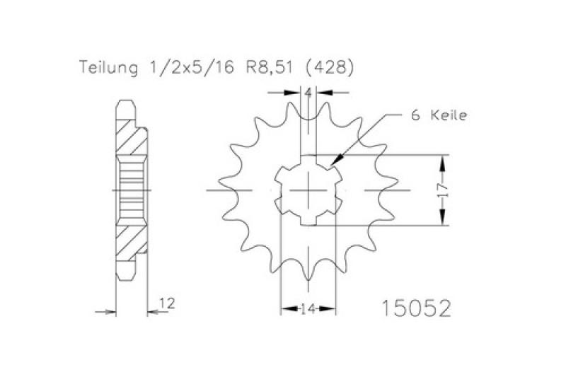 Kettenritzel, 13 Zähne