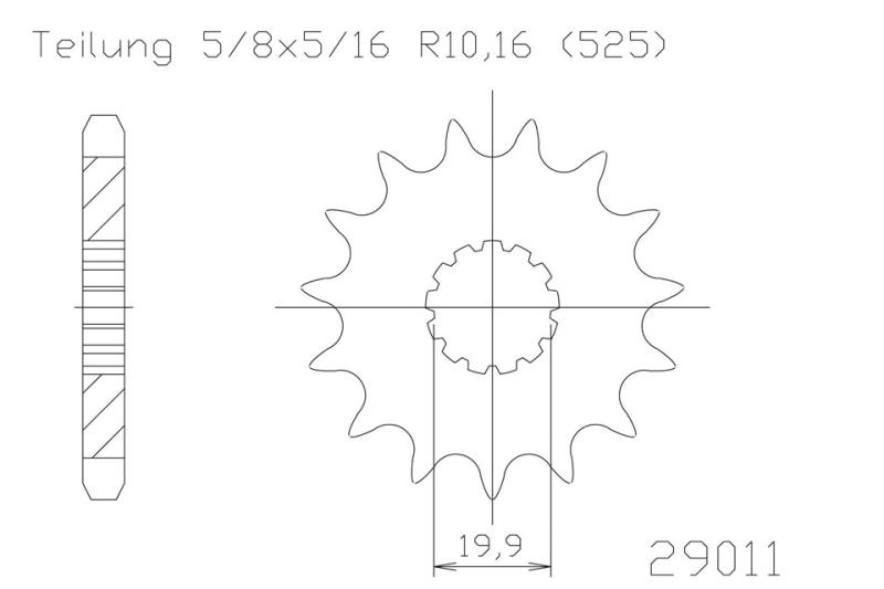 Kettenritzel, 16 Zähne