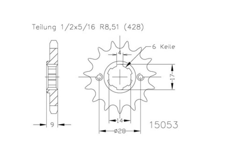 Kettenritzel, 13 Zähne