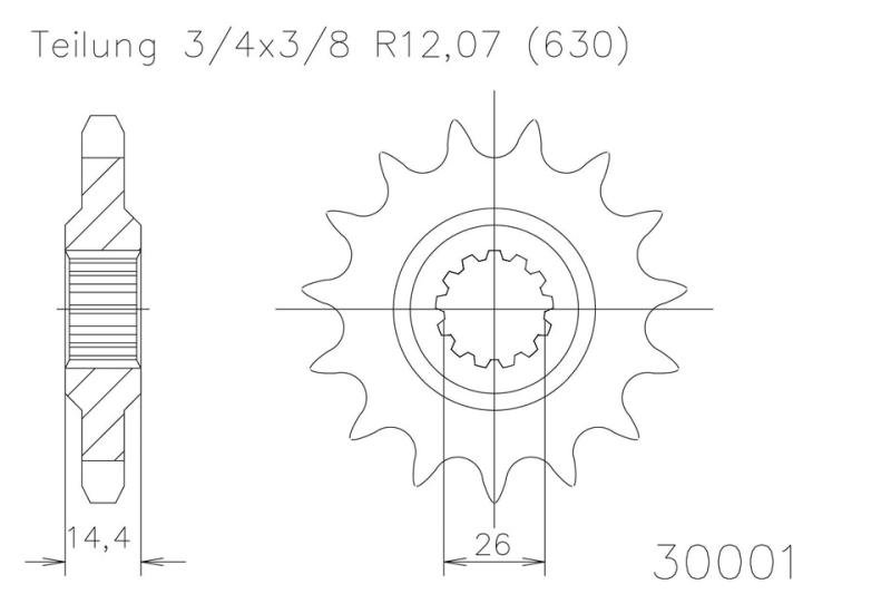 Kettenritzel, 15 Zähne