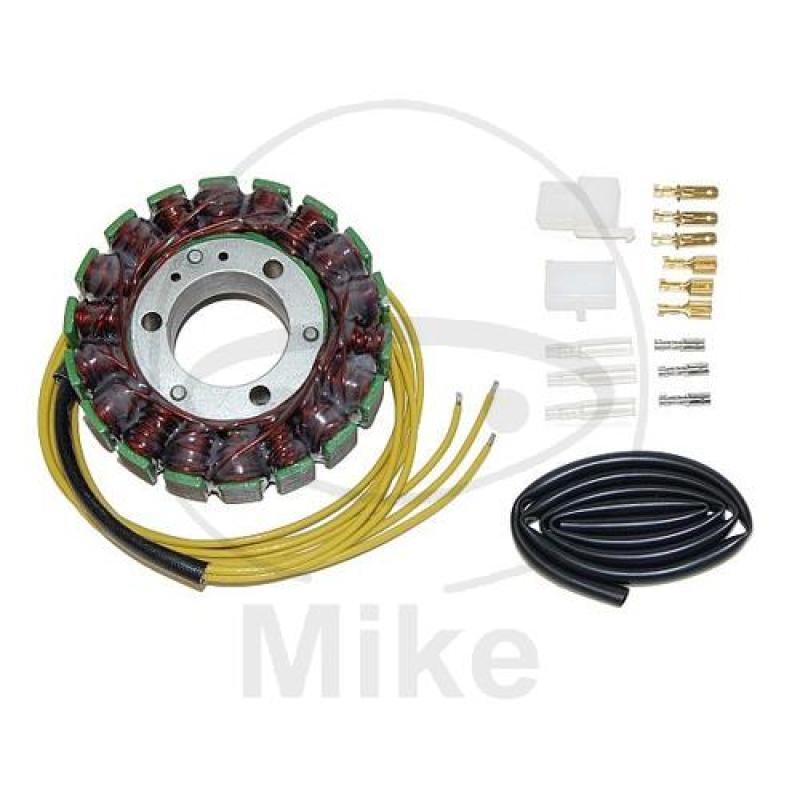 Lichtmaschine/Stator