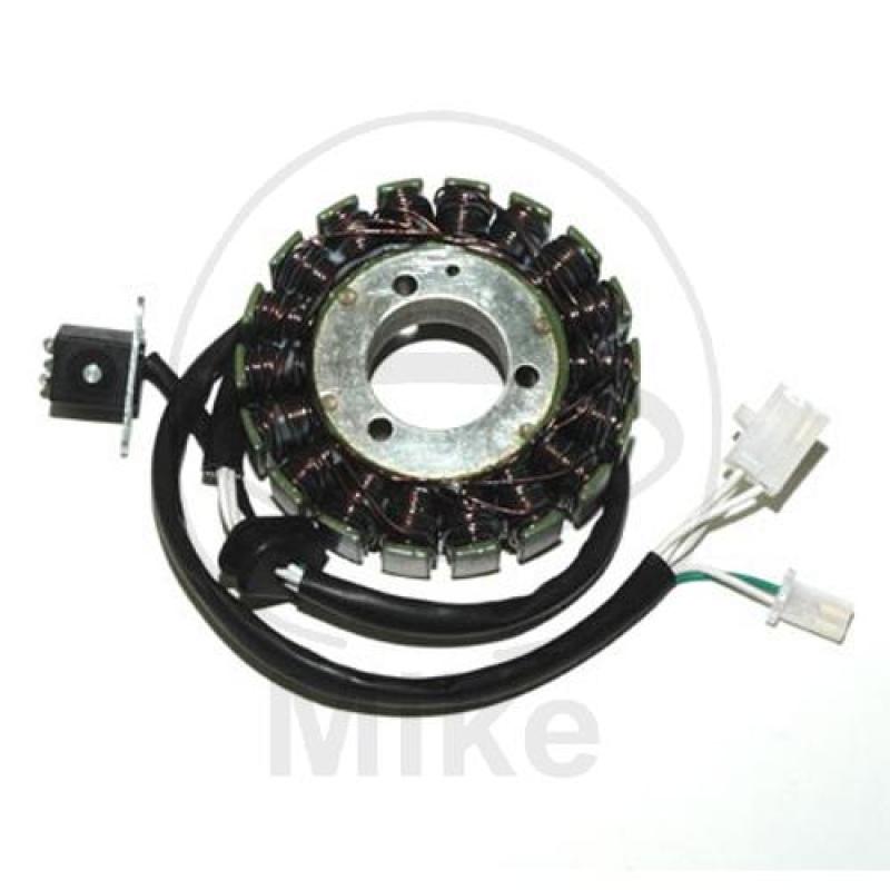 Lichtmaschine/Stator