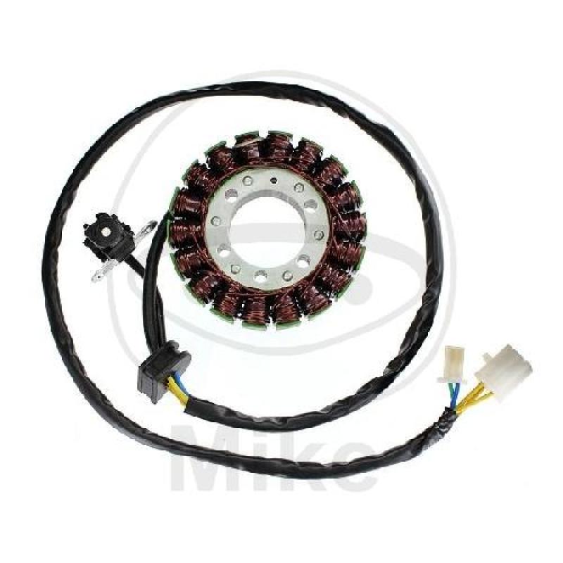 Lichtmaschine/Stator