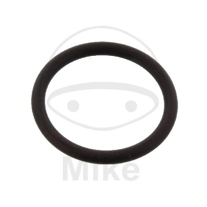 Steuerkettenspannerdichtung, (OEM-Teil), O-Ring 18X2 mm