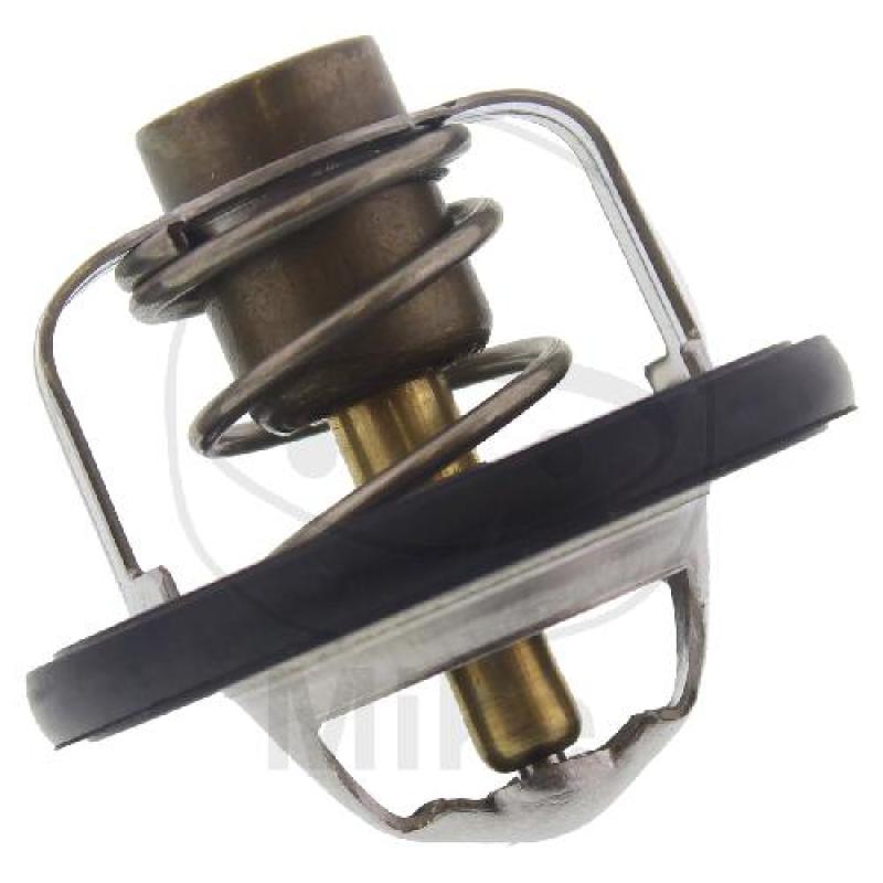 Thermostat, Tourmax