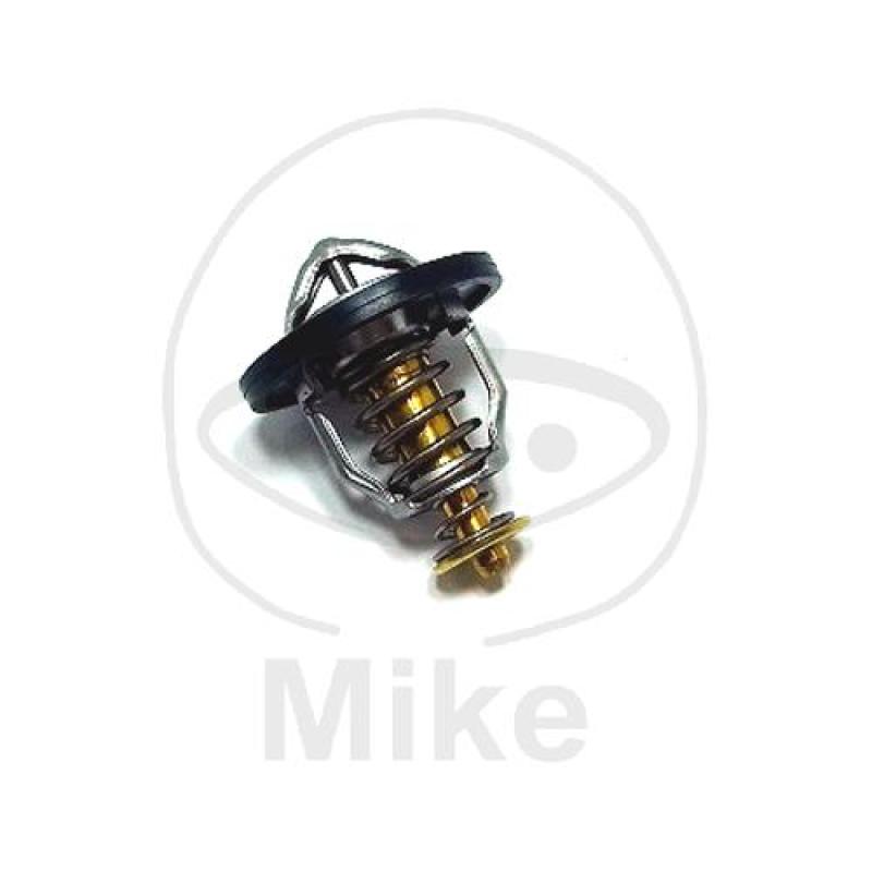 Thermostat, Tourmax